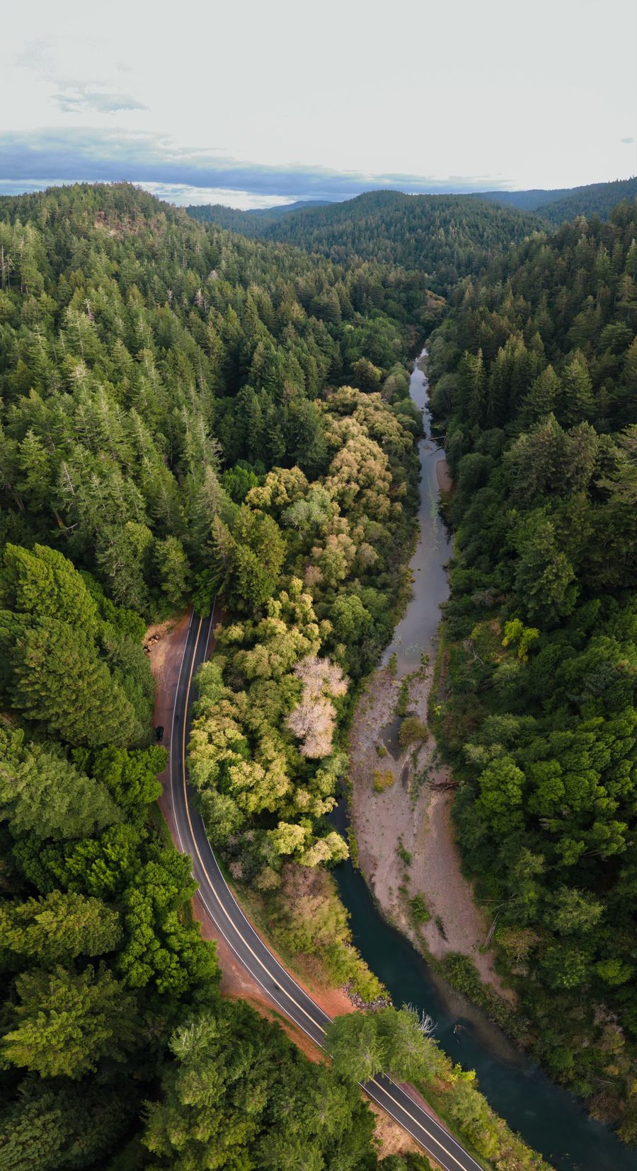 The Russian River winding through a dense redwood forest, with River Road tracing its bank.