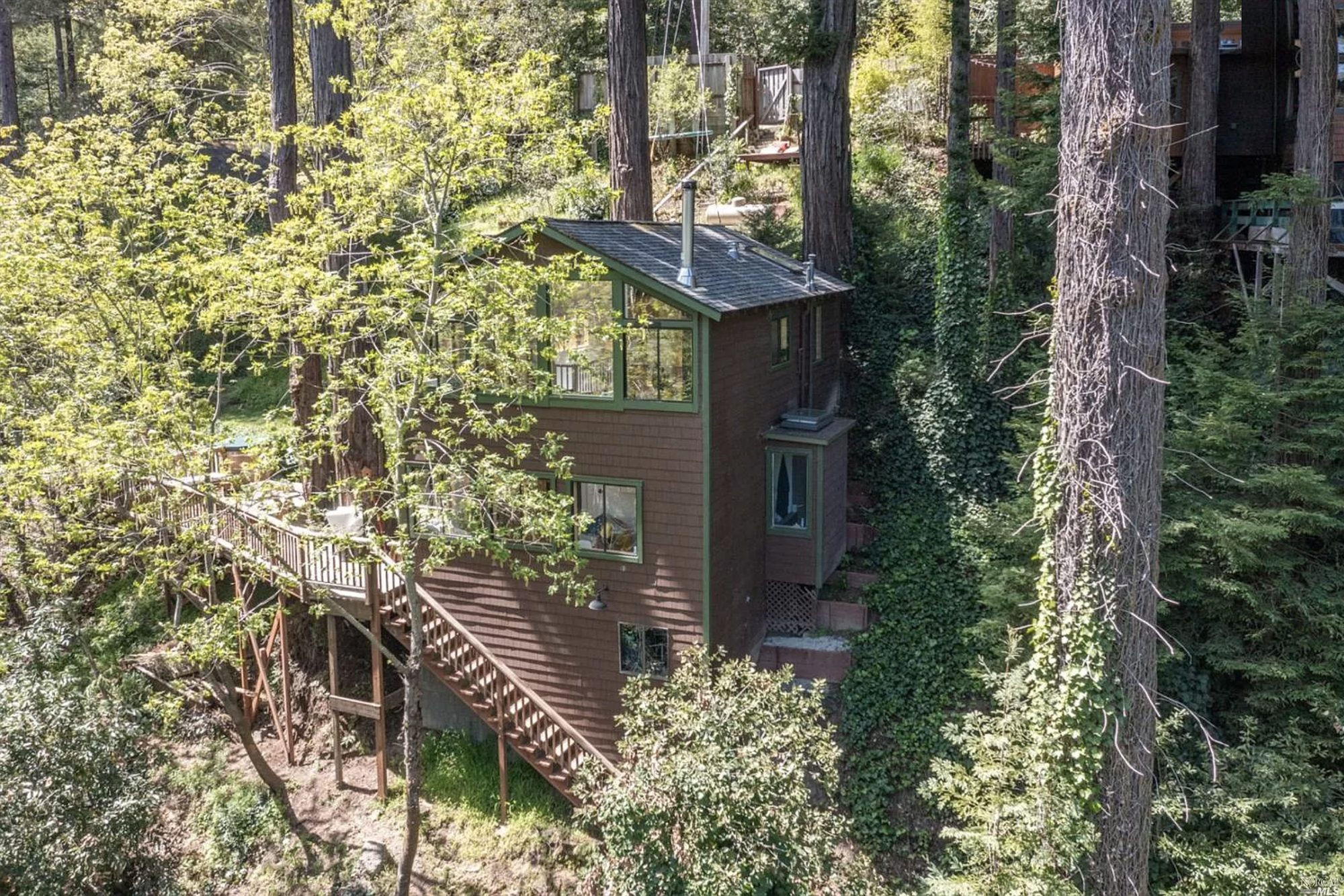 A tall cedar-shingled cabin suspended among redwood trunks, with a wooden deck and stairs descending into the forest.