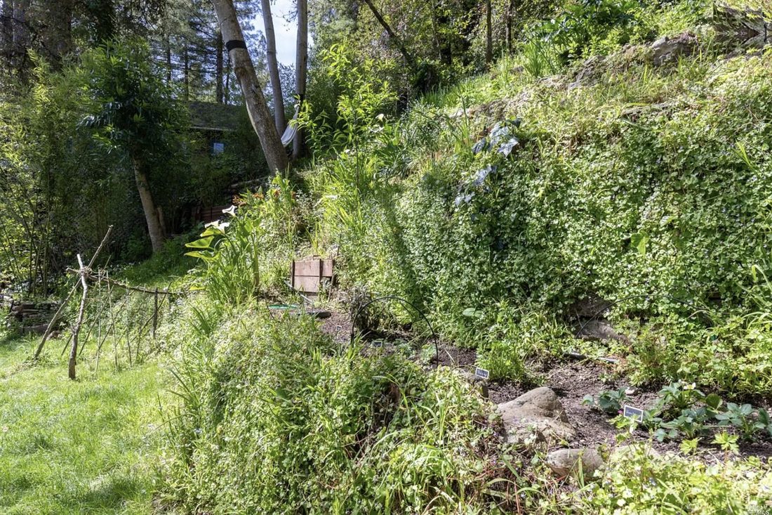 A terraced hillside garden thick with greenery and flowering plants.